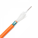 FIB6ACCR1C1