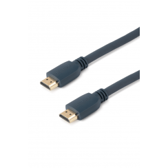 CORHDMI21