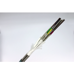 FIB*ACRCR1C1-9S2